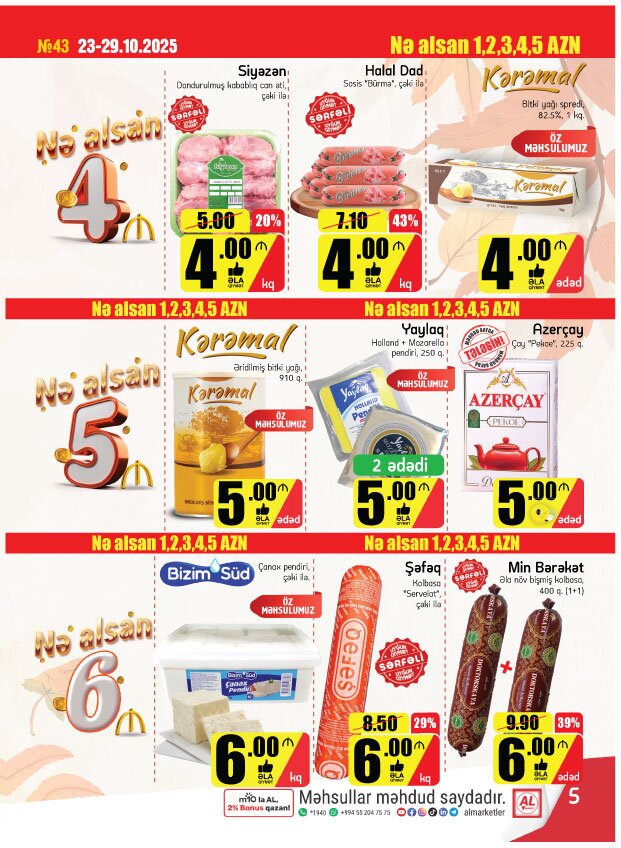 ne-alsan-12345